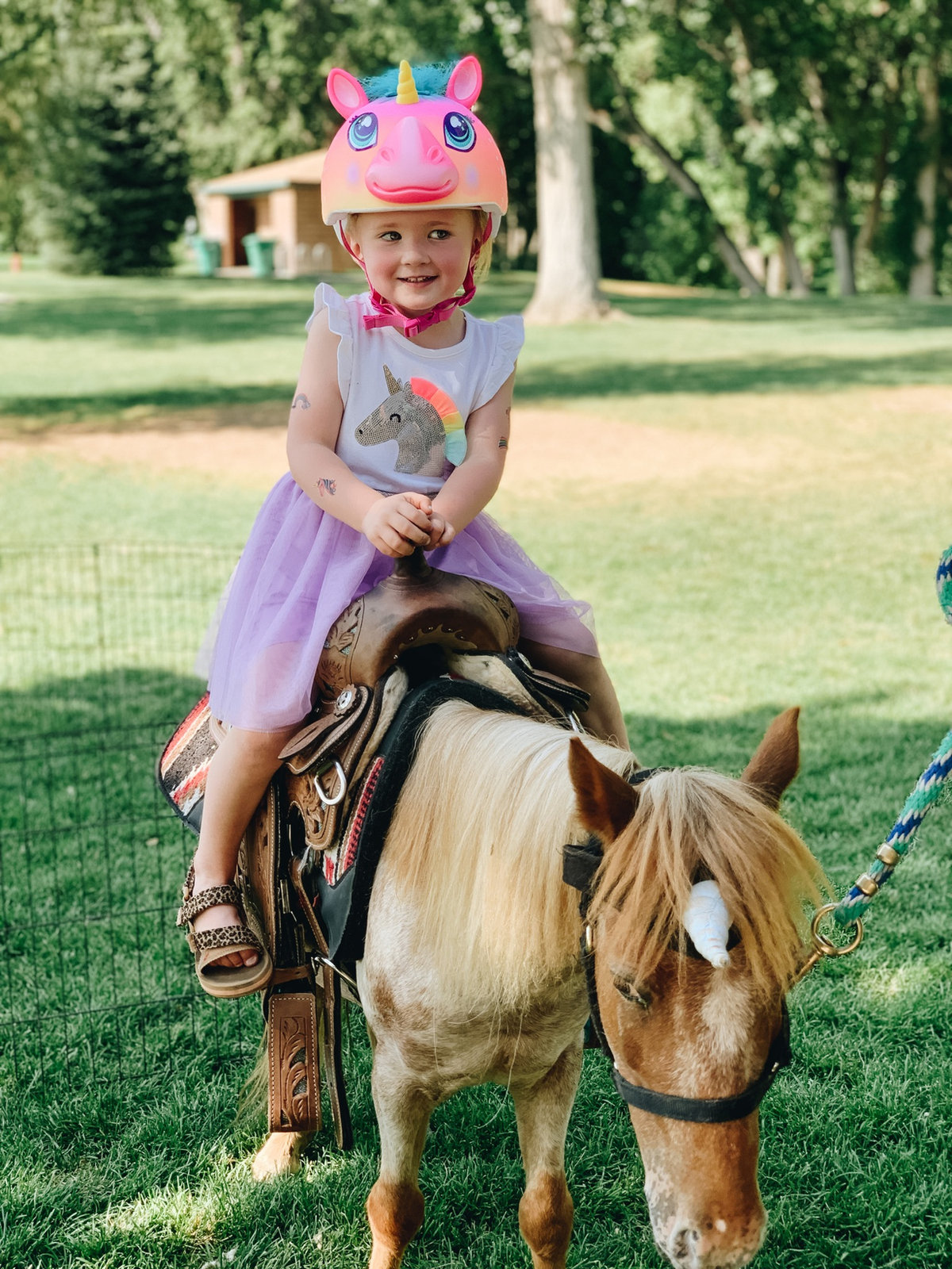 My Mini Pony Party & Pets — real party photo 16