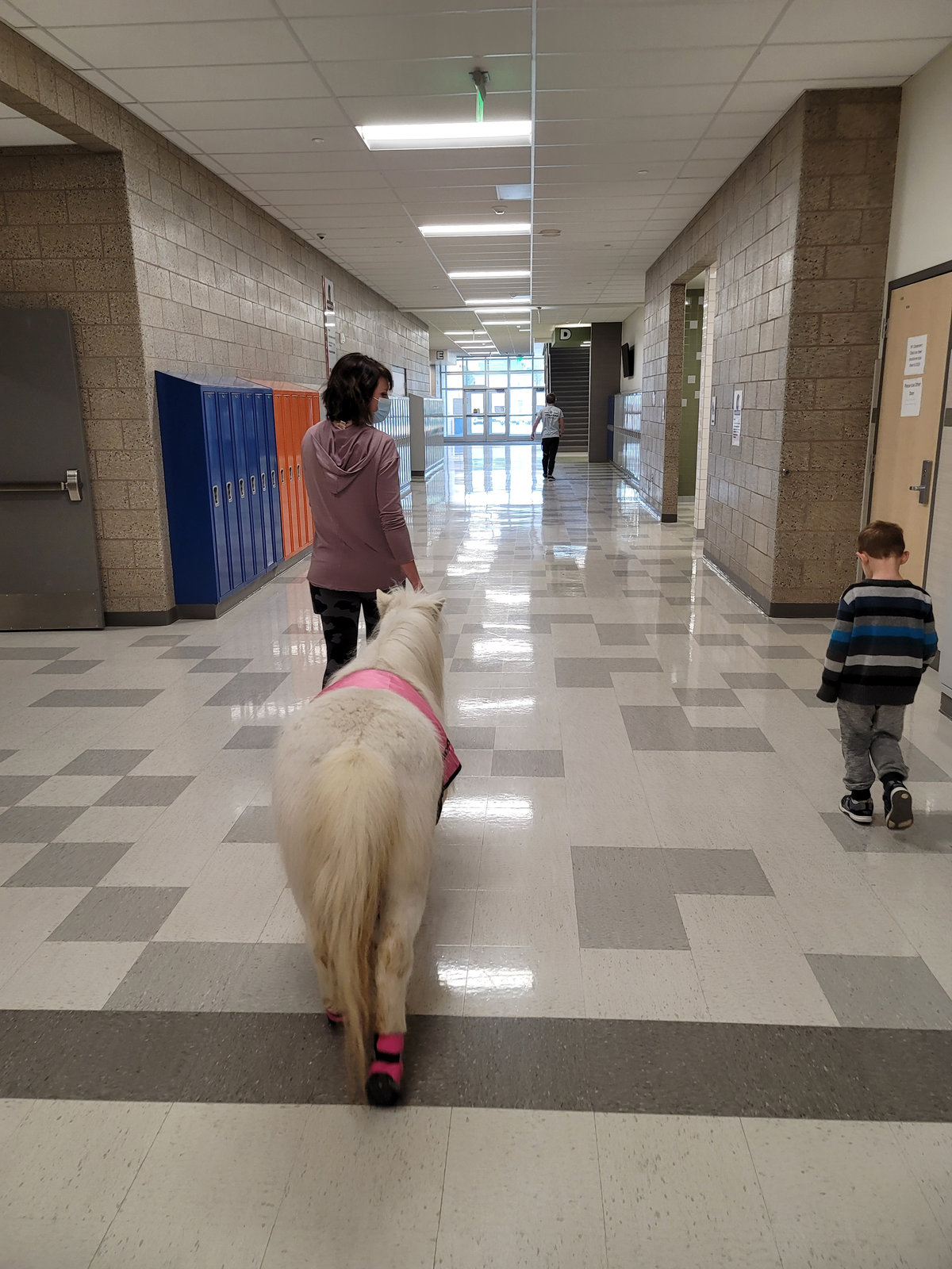 My Mini Pony Party & Pets — real party photo 10