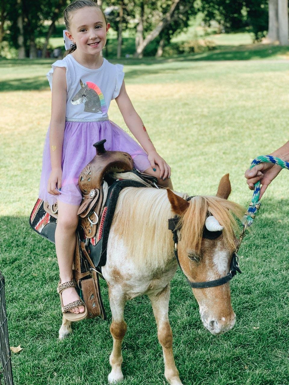 A toddler gently petting a miniature pony
