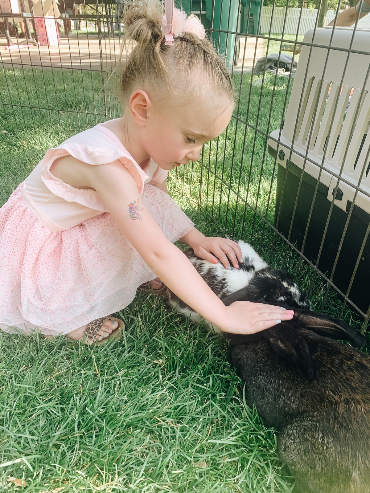 My Mini Pony Party & Pets — real party photo 4
