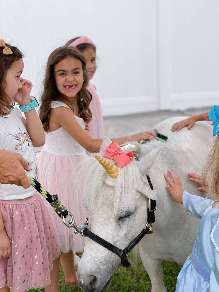 My Mini Pony Party & Pets — real party photo 2