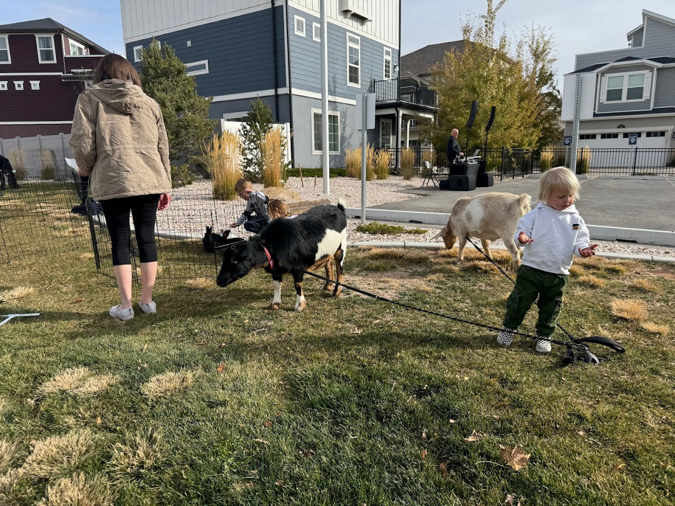 My Mini Pony Party & Pets — real party photo 8