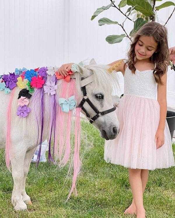 My Mini Pony Party & Pets — real party photo 15