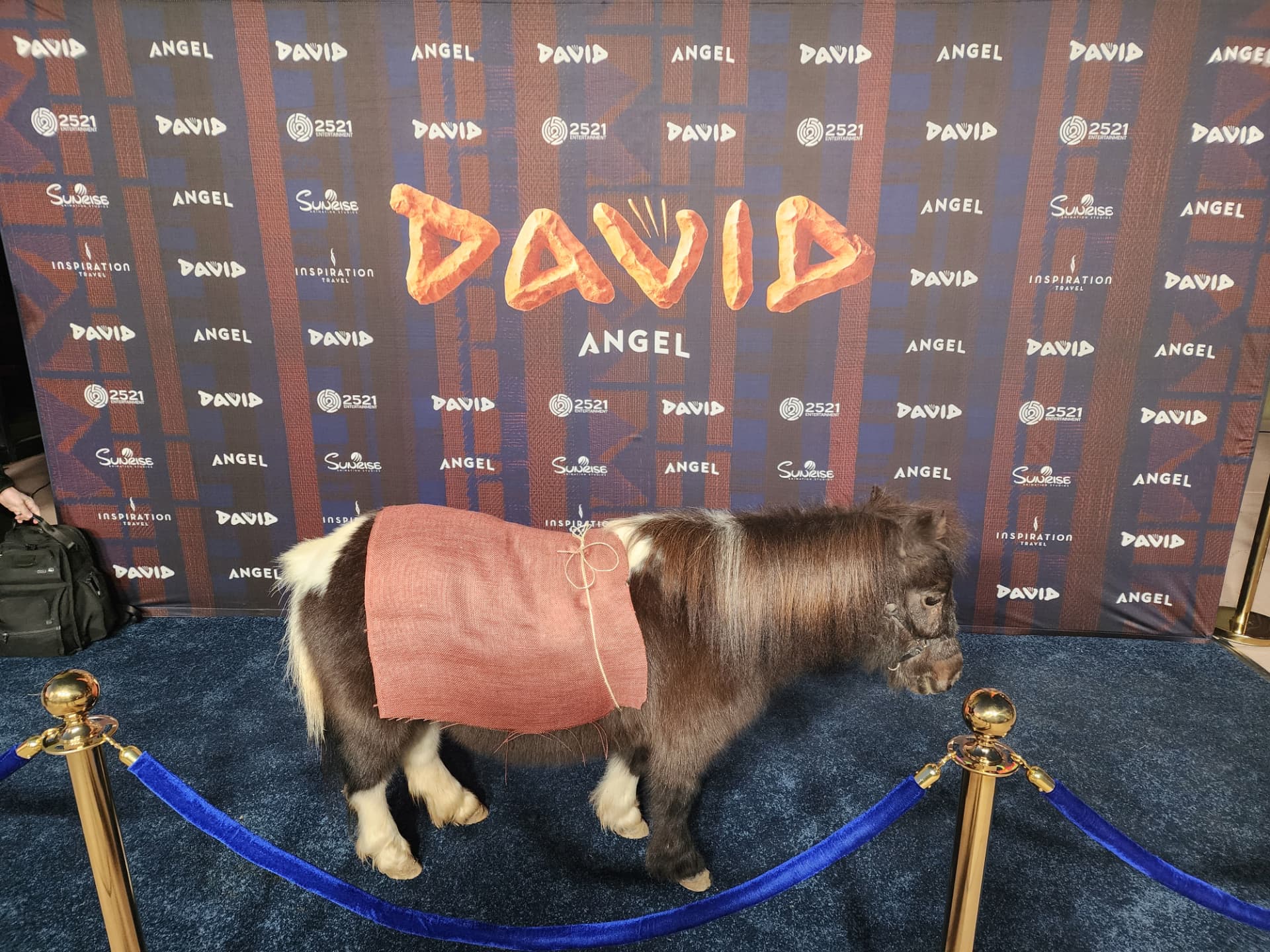 A miniature pony on the blue carpet at a red carpet movie premiere event