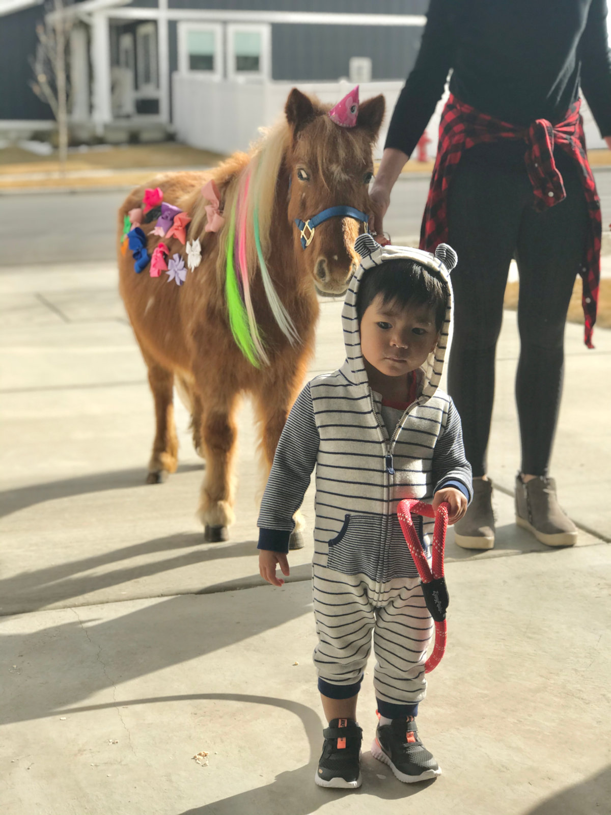 My Mini Pony Party & Pets — real party photo 5