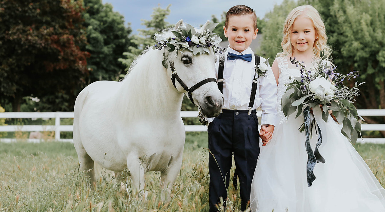 Molly, one of our miniature ponies