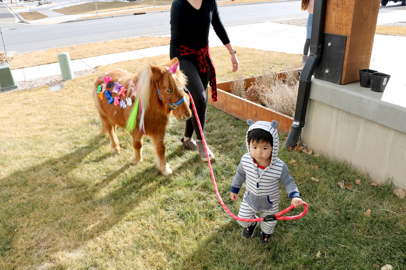 My Mini Pony Party & Pets — real party photo 17