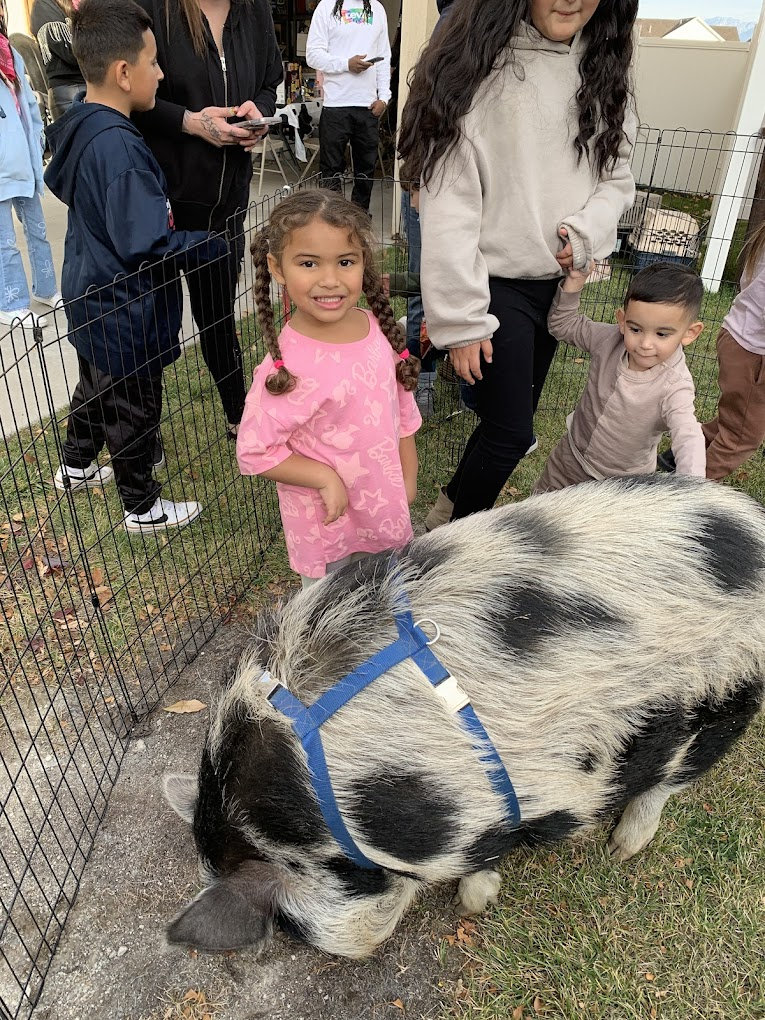 My Mini Pony Party & Pets — real party photo 11